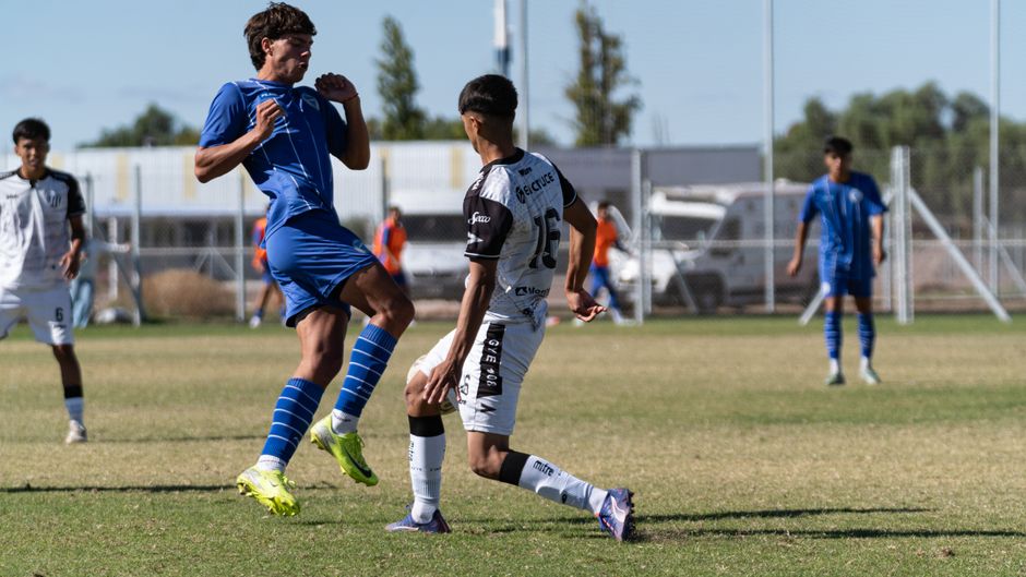 新站快速收录的终极方案